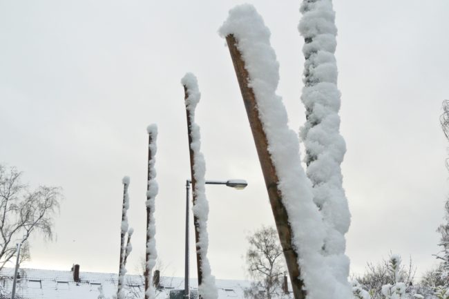 Schnee m Garten