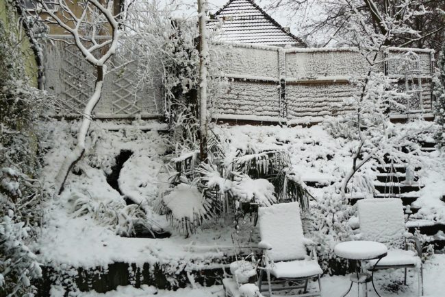 Schnee m Garten