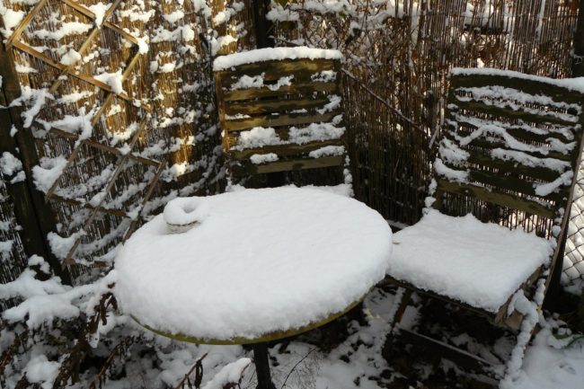 Schnee m Garten