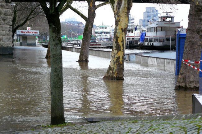 Hochwasser 2018 in Köln