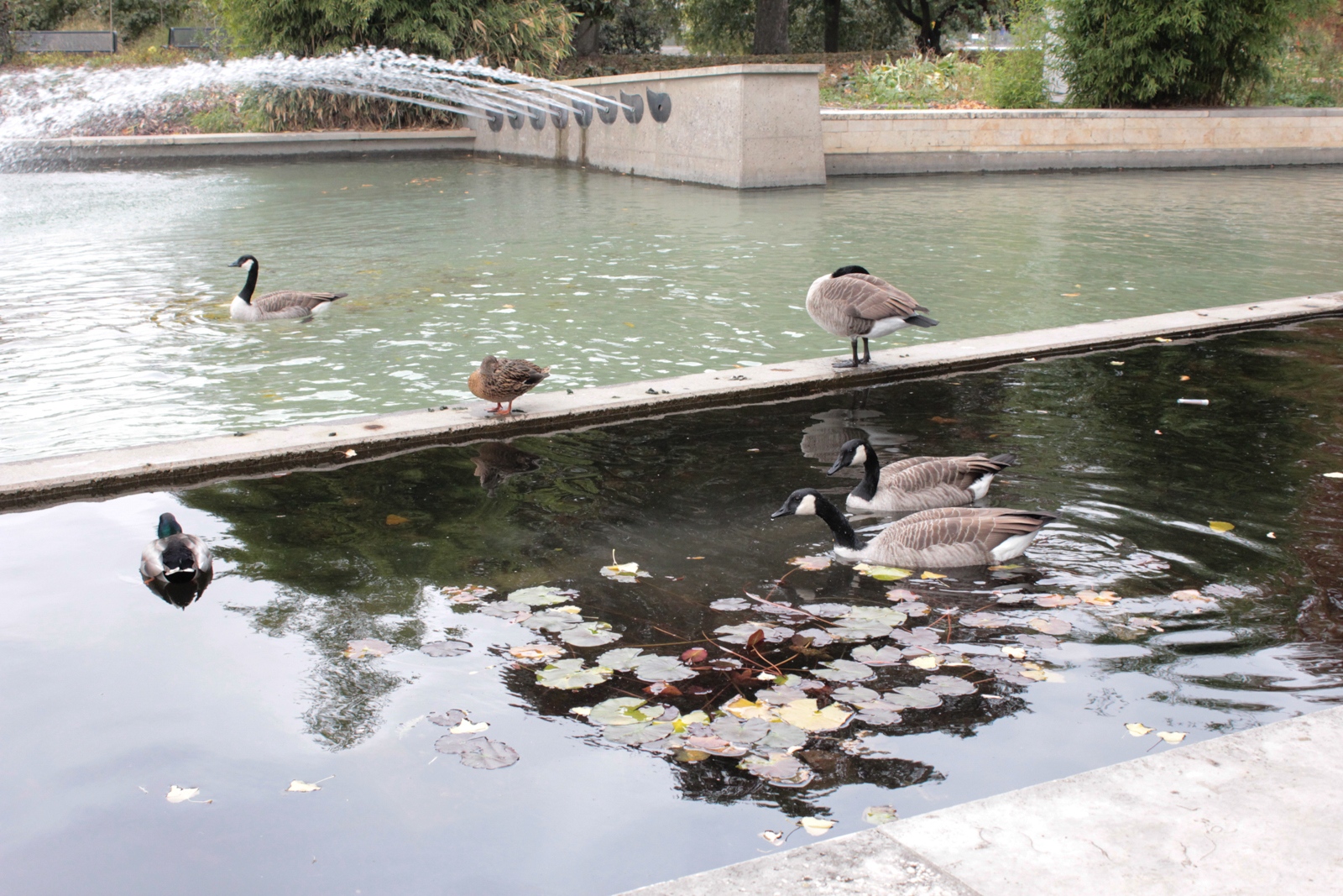 Rheinpark im Oktober