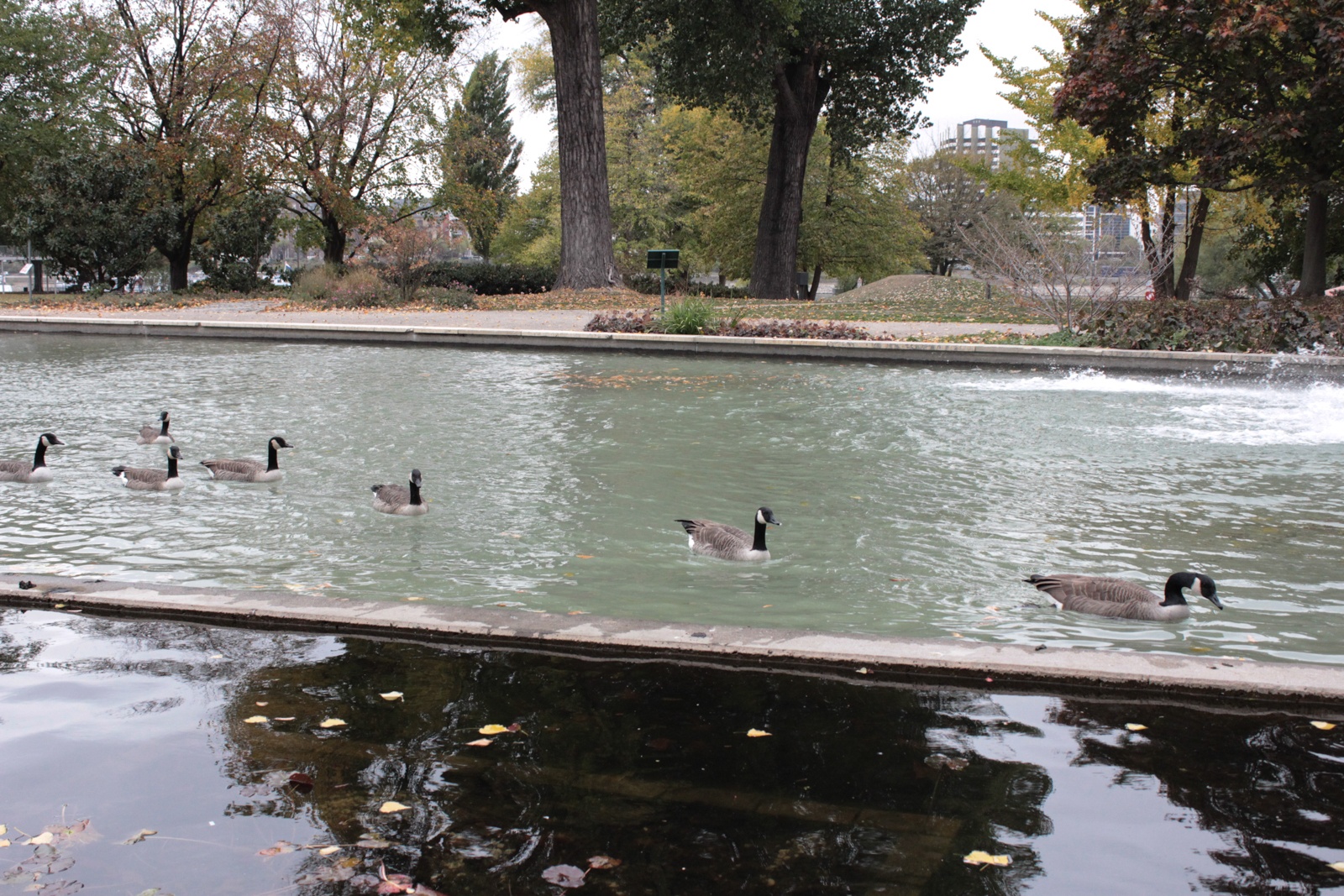 Rheinpark im Oktober