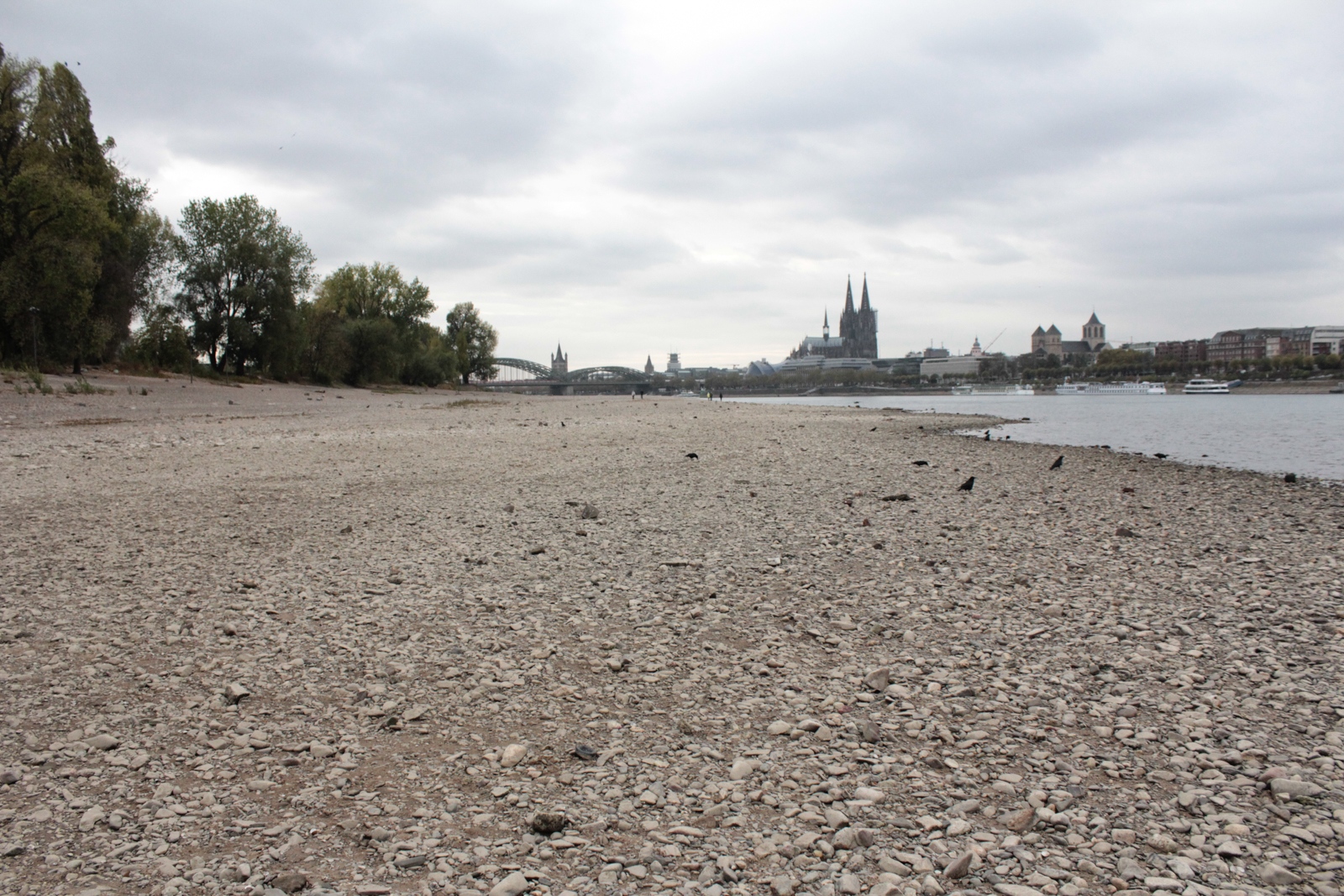 Niedrigwasser Rhein 2018