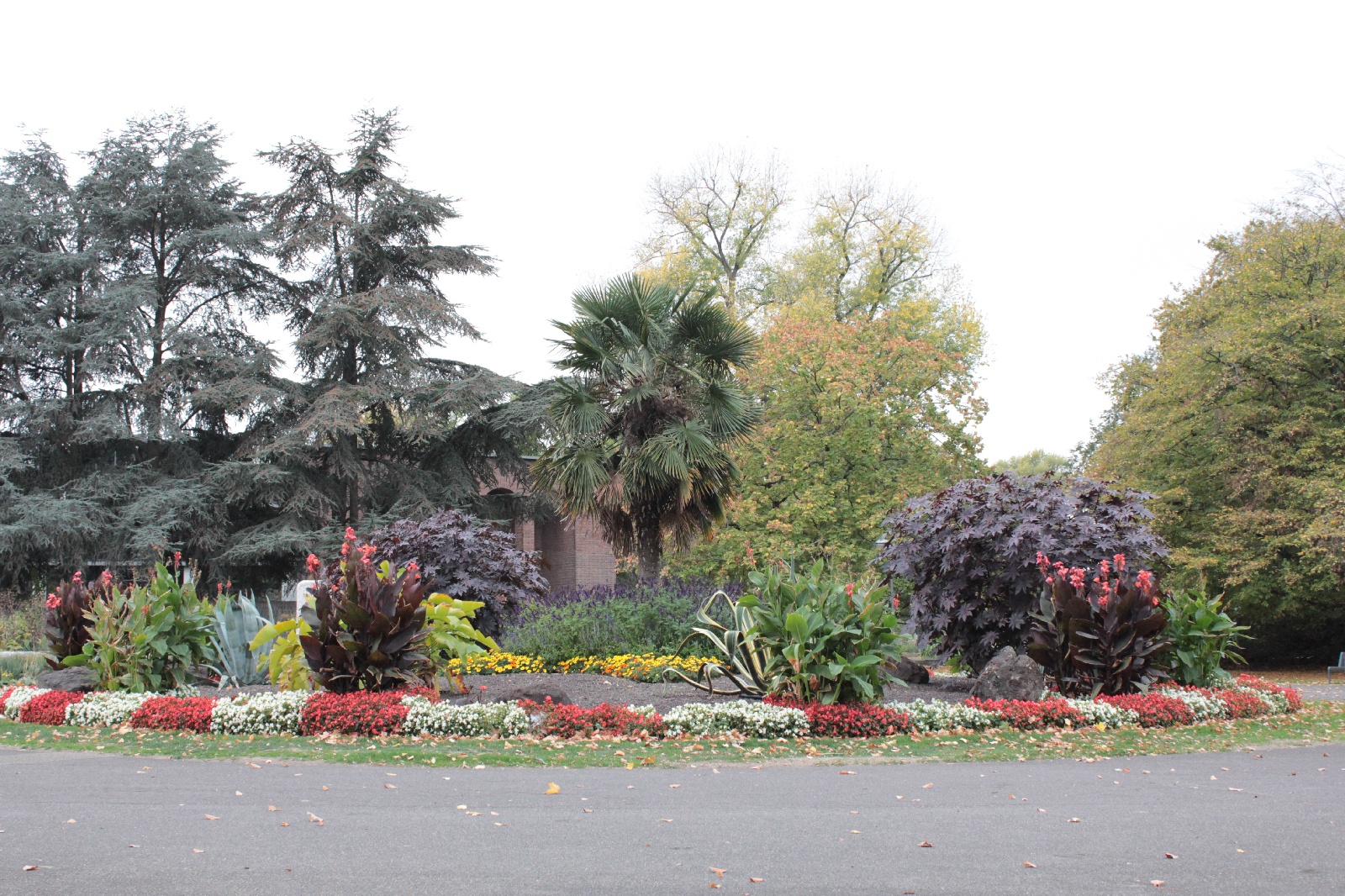 Rheinpark im Oktober