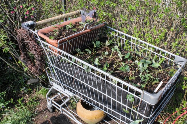 Hochbeet Einkaufswagen