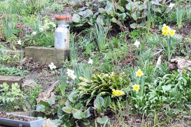 Frühling