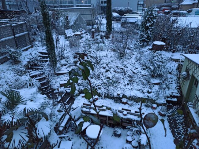 Schnee in Köln