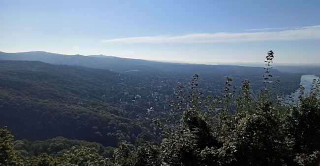 Drachenfels