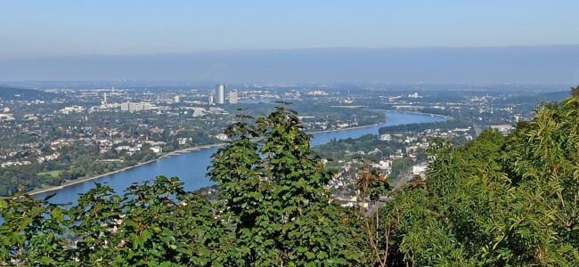 Drachenfels