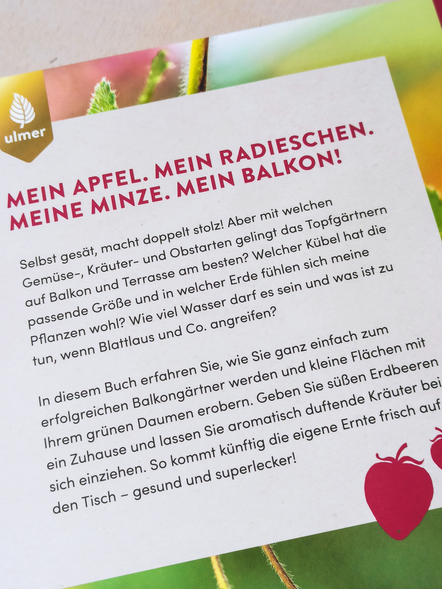 Mein wundervoller Naschbalkon