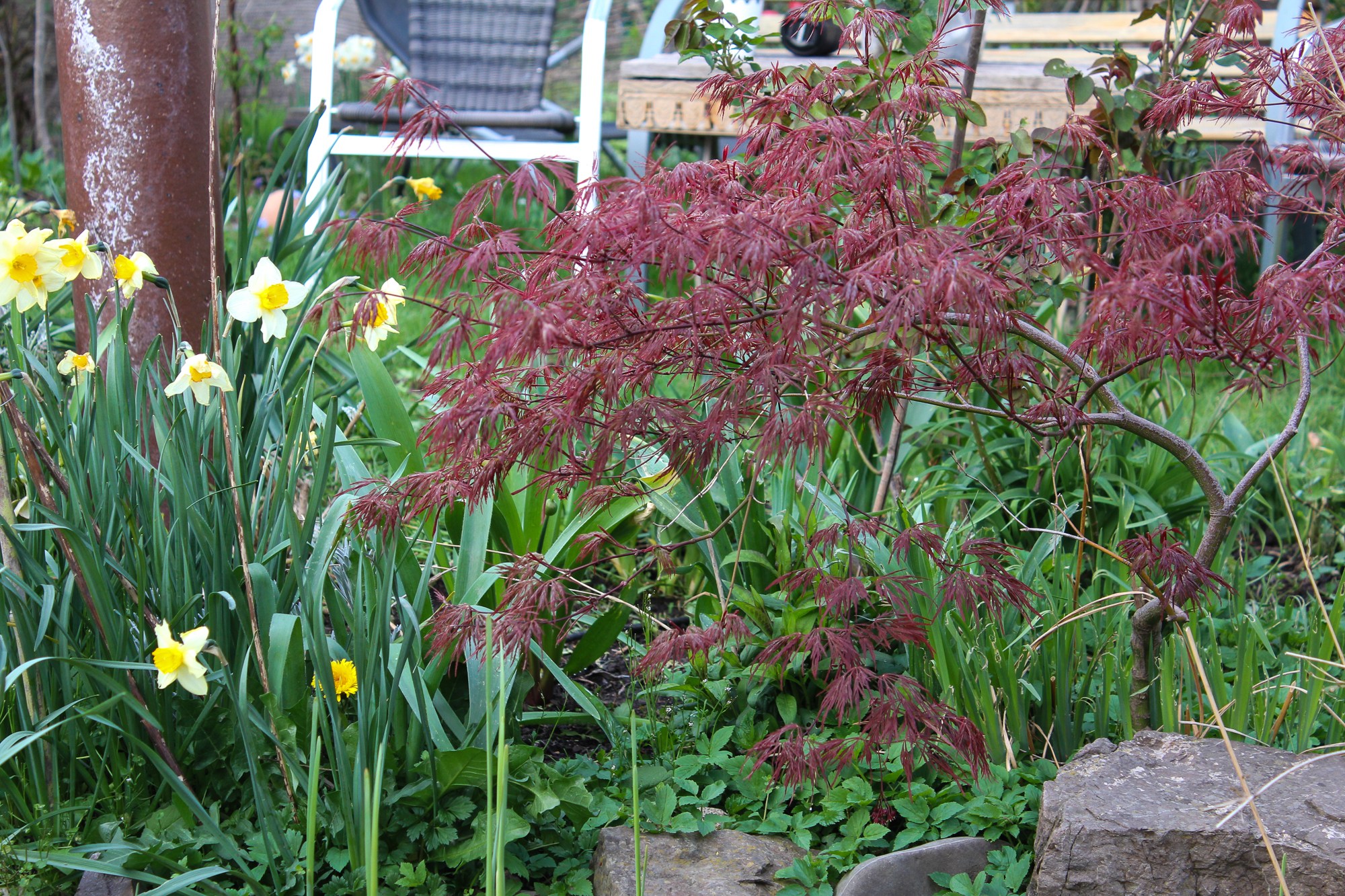 Frühlingsgarten