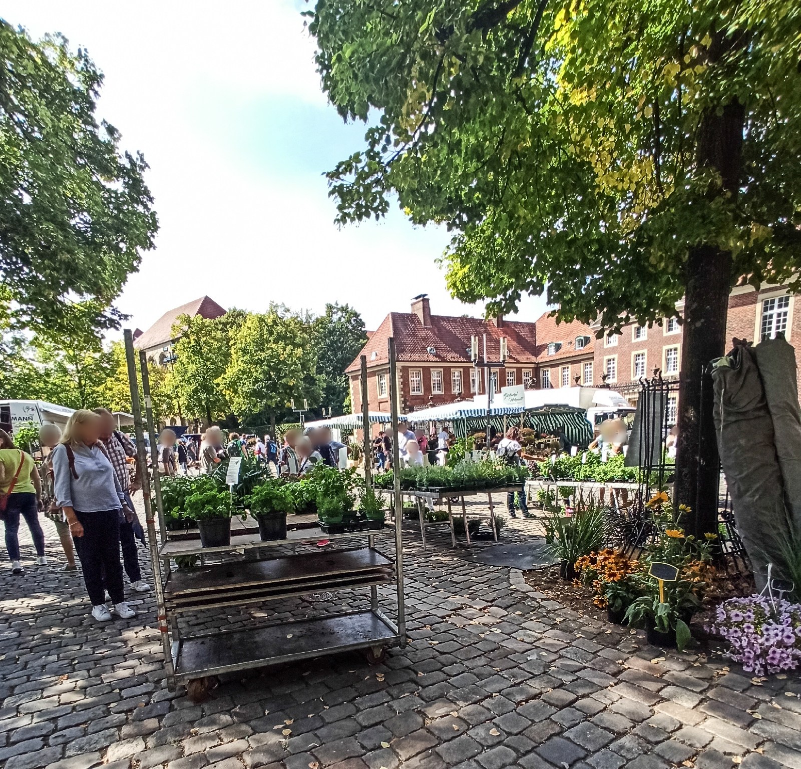 Wochenmarkt Münster