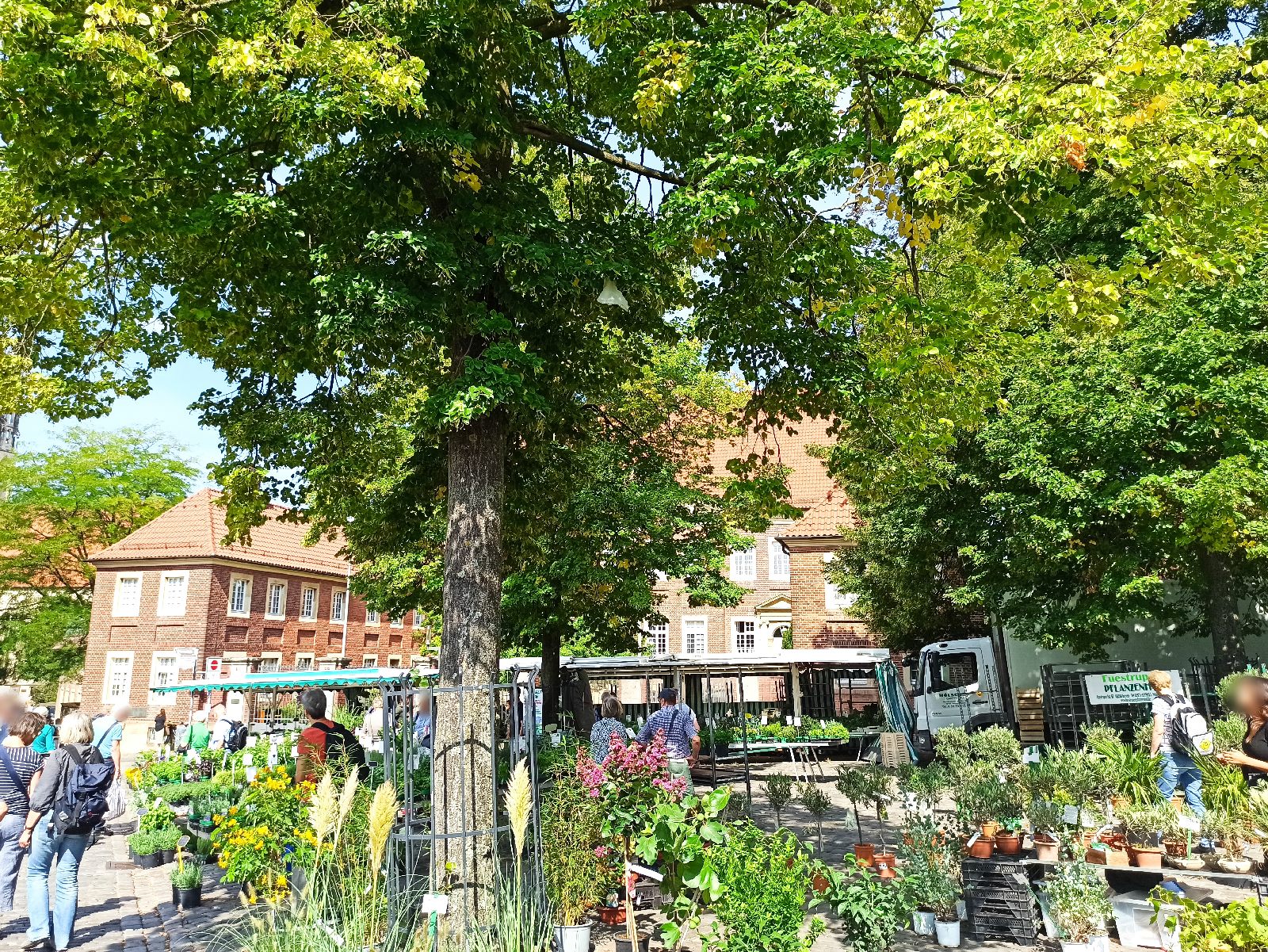 Wochenmarkt Münster